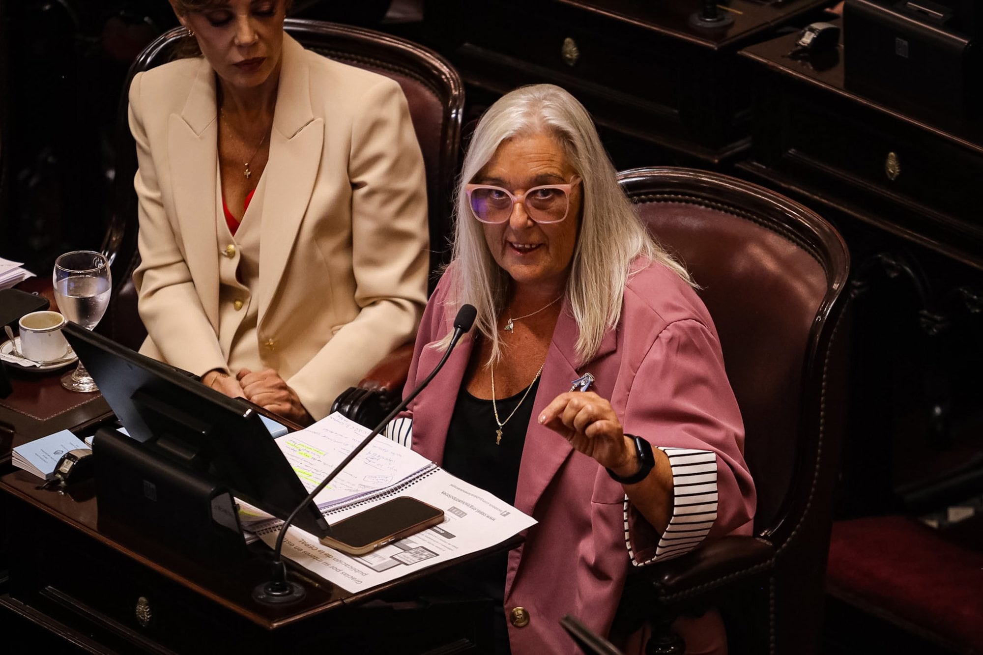 "Adolece de graves defectos": crece el rechazo al proyecto de ecocidio y la agroindustria pidió al Senado que no lo trate