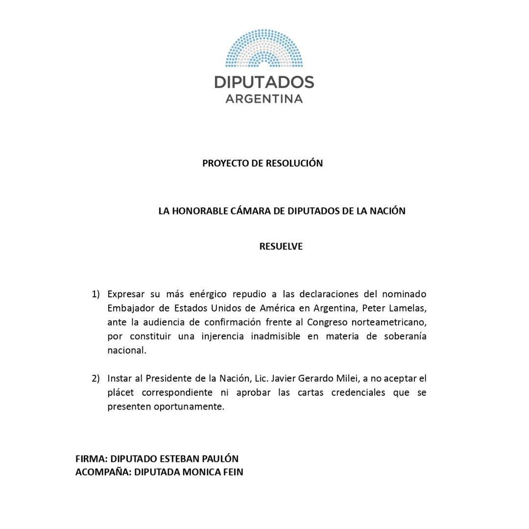 El documento presentado por Paulón y Fein
