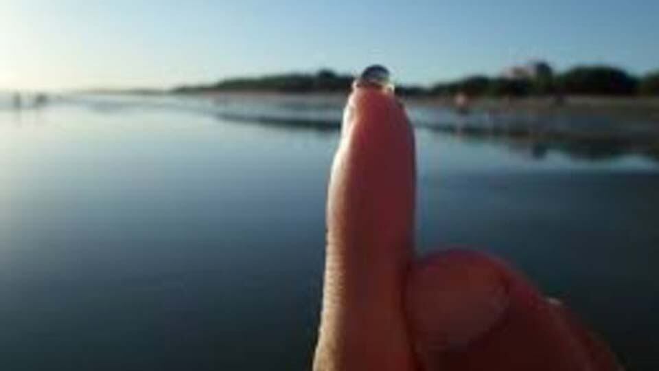 El tamaño de las tapiocas hace que sea muy difícil observarlas en el mar