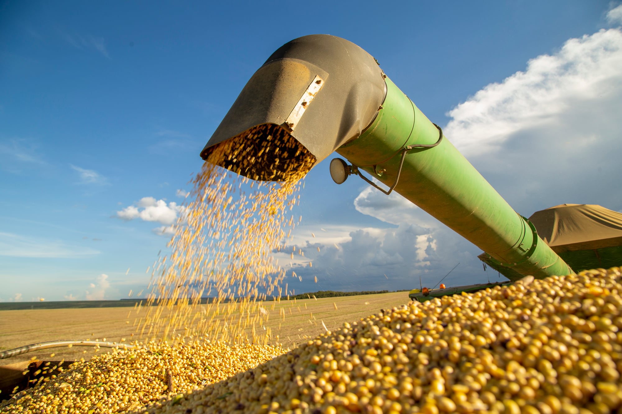 Exportación: el aumento de los precios de la soja impulsará la economía argentina