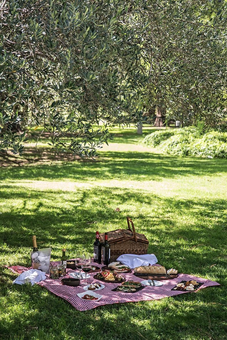 Picnic en los jardines de Casa del Visitante.