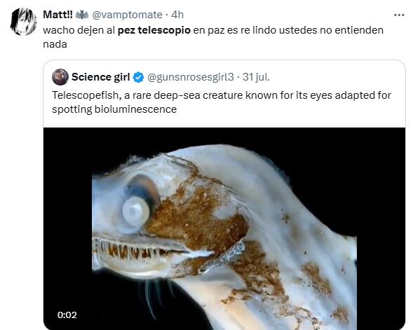 Una usuaria optó por utilizar la ironía en su comentario (Foto: X @vamptomate)