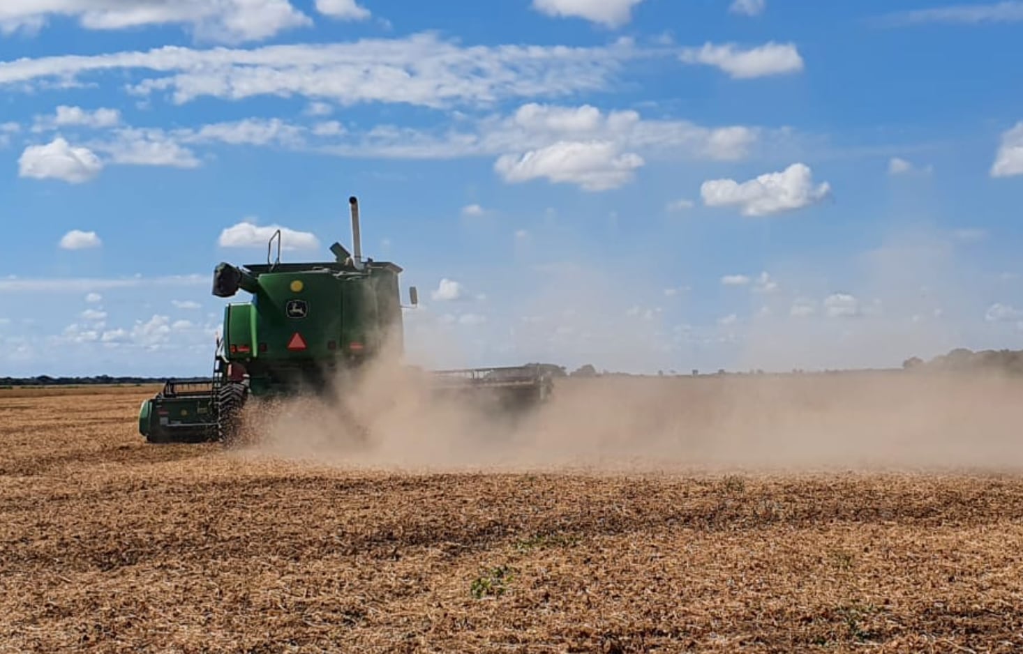 El estrés térmico y la falta de agua impactaron en los rendimientos: en soja se lograron entre 2000 y 2100 kilos por hectárea, por debajo de los 2400 necesarios en campos alquilados. El maíz rindió entre 5500 y 6000 kilos