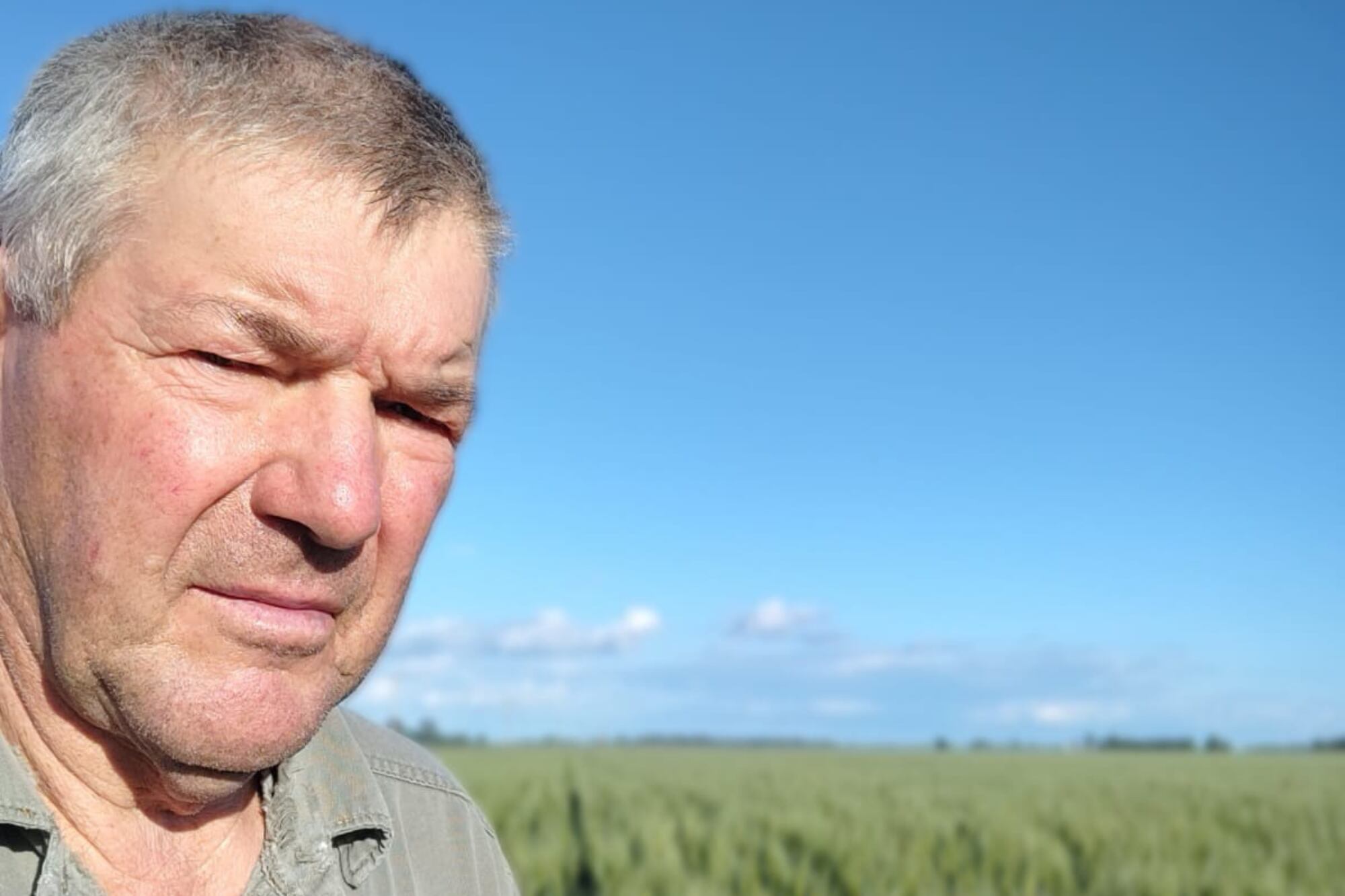 En Bigand, provincia de Santa Fe, el productor José Luis Roca está entusiasmado porque “llovió, llovió bien, 100 milímetros la semana pasada y ahora otro 100″