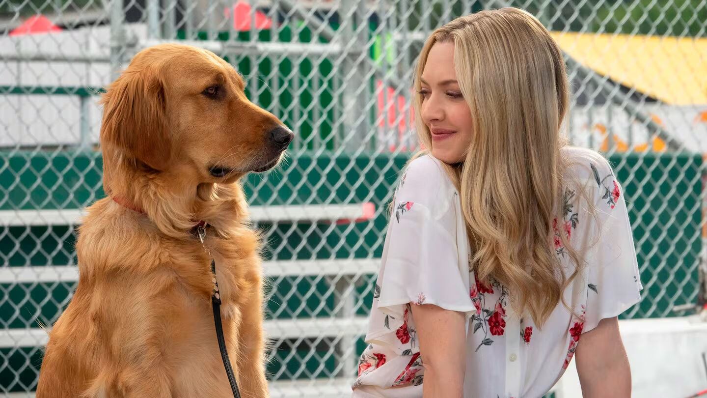 Mi amigo Enzo se estrenó en 2019, pero de la mano de Netflix volvió a ser un éxito