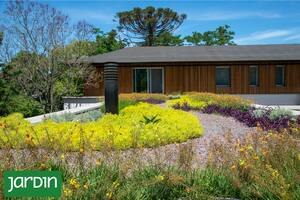 Cuáles son las plantas ideales para armar un techo verde y no fracasar