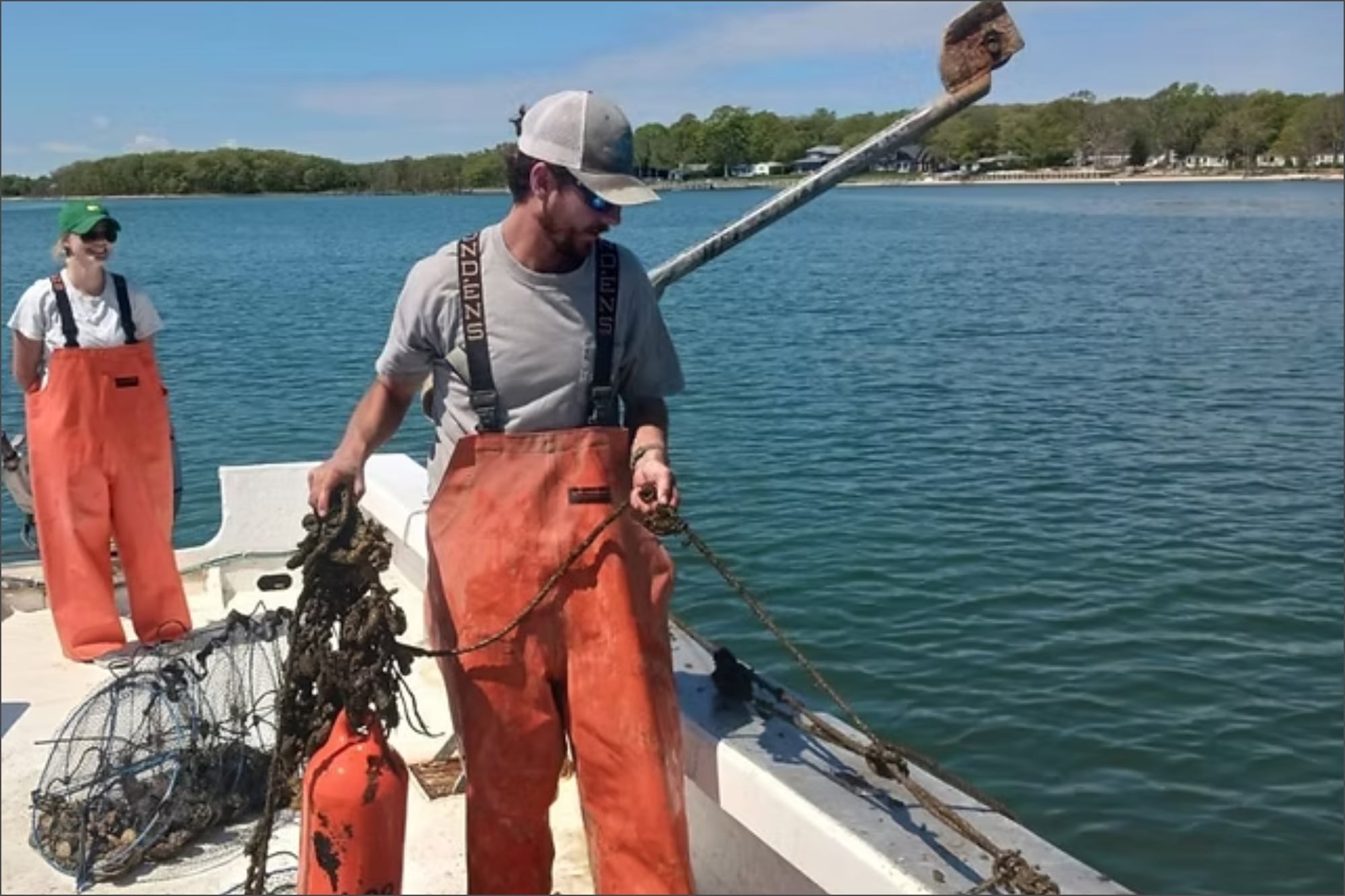 La industria acuícola representa más del 25% de las granjas en Long Island, con actividad principalmente en Suffolk y Nassau