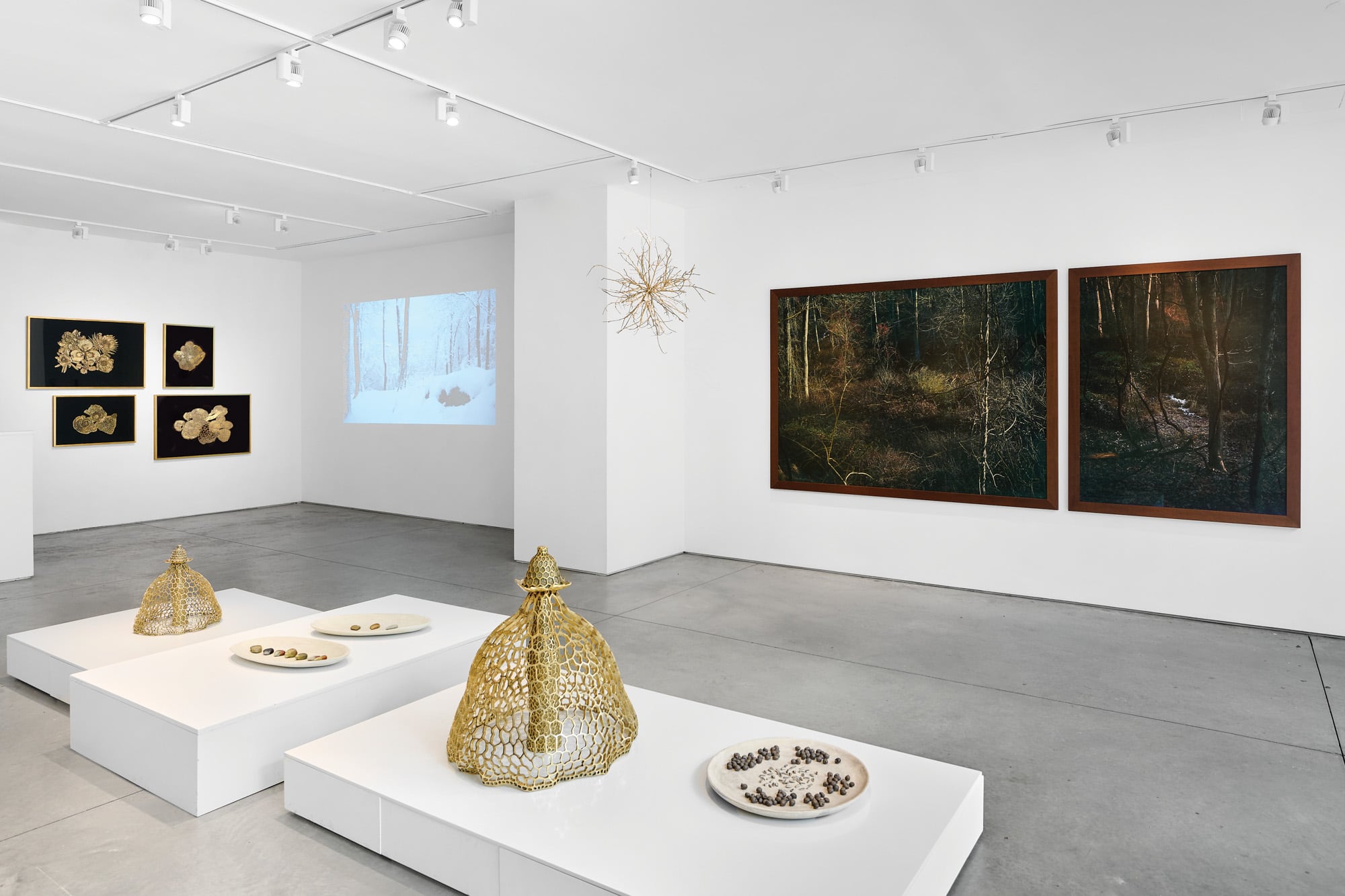 Una postal de “Winter Solstice: Seeds of Nothingness”, la muestra colaborativa que Edo está presentando junto con su mujer, la artista Delfina Braun, y con su sobrina, la arquitecta
Delfina Muniz Barreto en la Galería Praxis, en
Chelsea, Nueva York