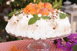 Torta de damasco y crema mouselline