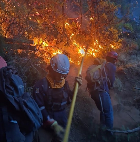 Las brigadas trabajan desde ayer en el combate de las llamas
