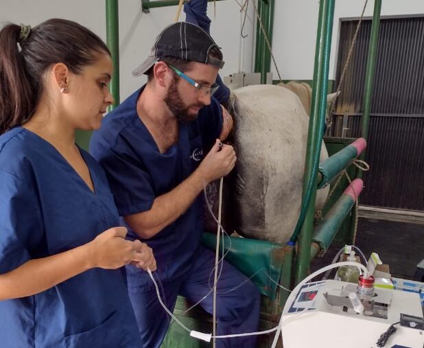 “Con OPU, podemos recuperar ese potencial reproductivo antes de que se pierda y fertilizarlo en el laboratorio a través de ICSI