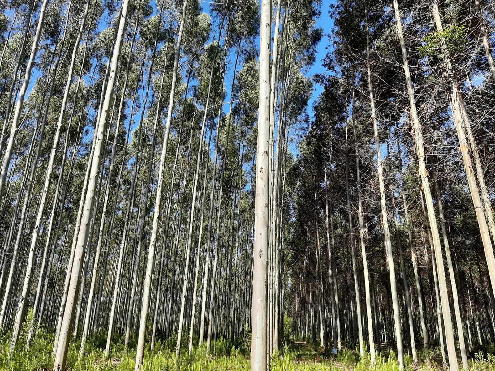 Se analizaron 5377 sitios en todo el territorio nacional