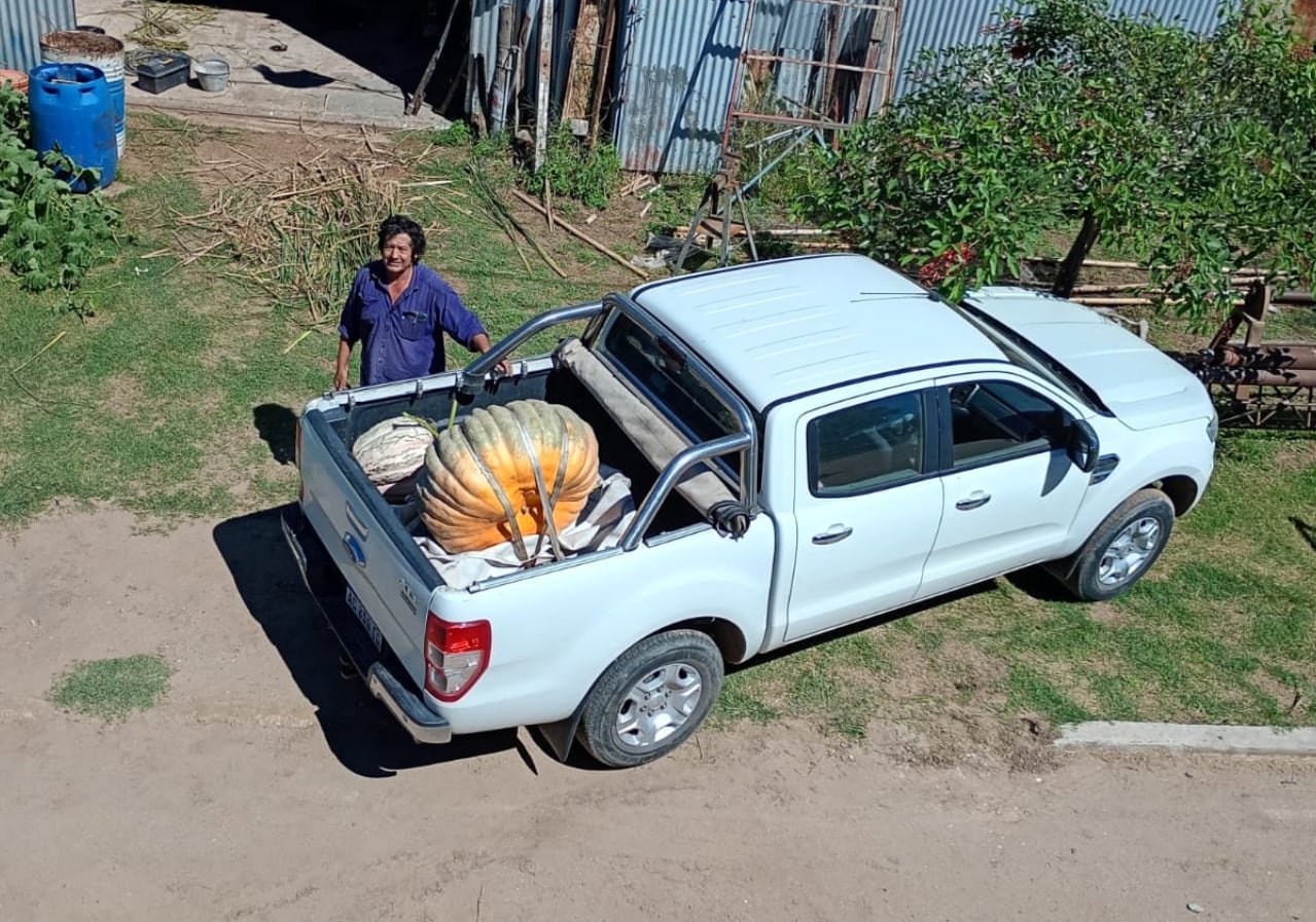 Parte de la producción fue donada a un hospital local donde funciona un espacio para adultos mayores