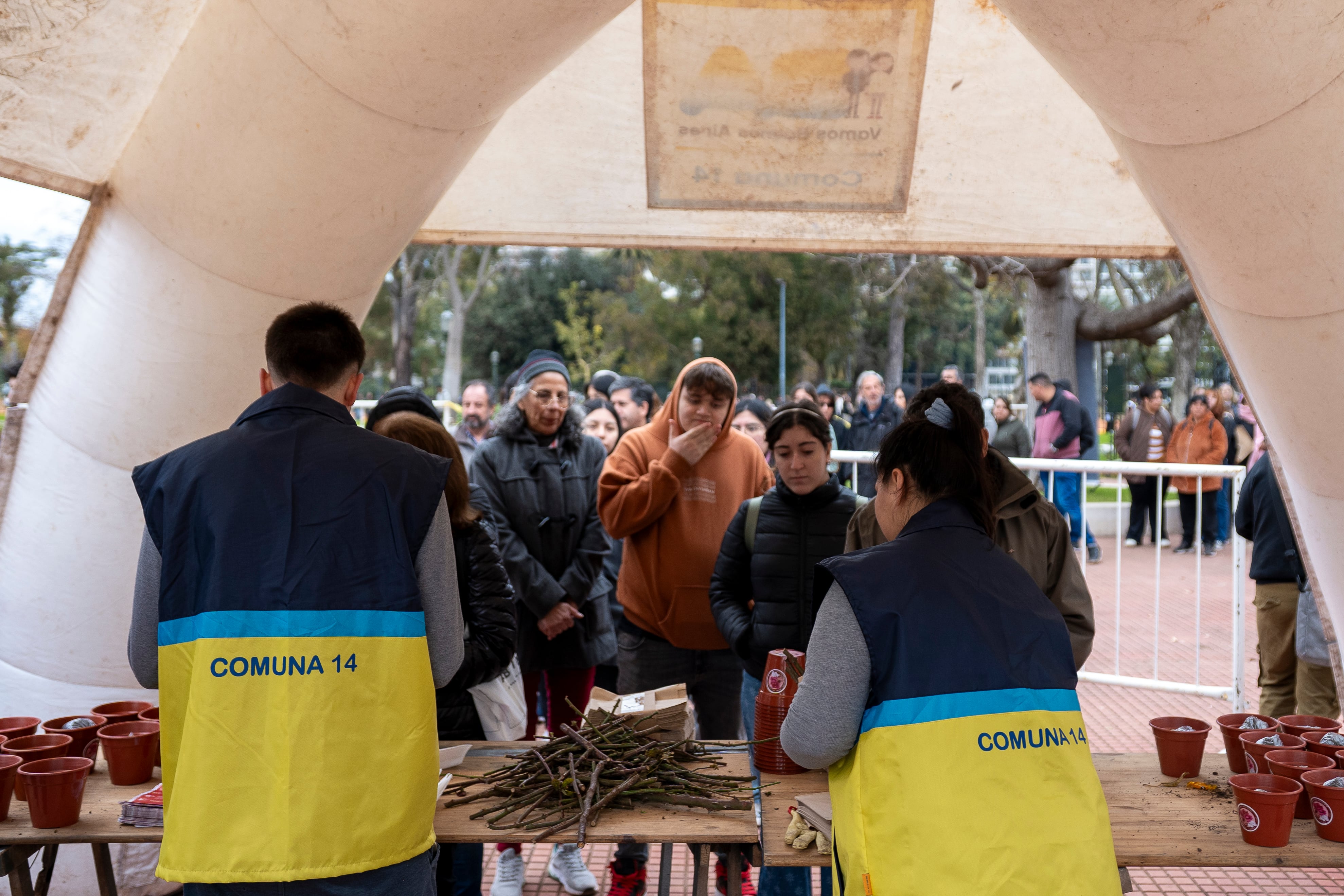 El Rosedal de Palermo regala esquejes: cuándo y dónde retirarlos y el paso a paso para plantar un rosal en casa 13 Un evento de la Comuna 14, de Palermo