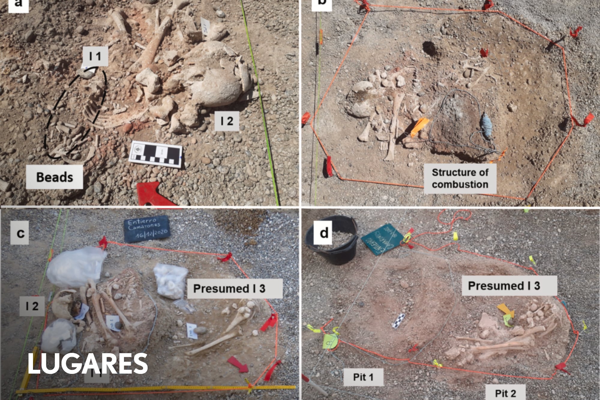 El hallazgo de restos humanos de más de 10 mil años en la Patagonia que abre el debate sobre cómo se pobló América