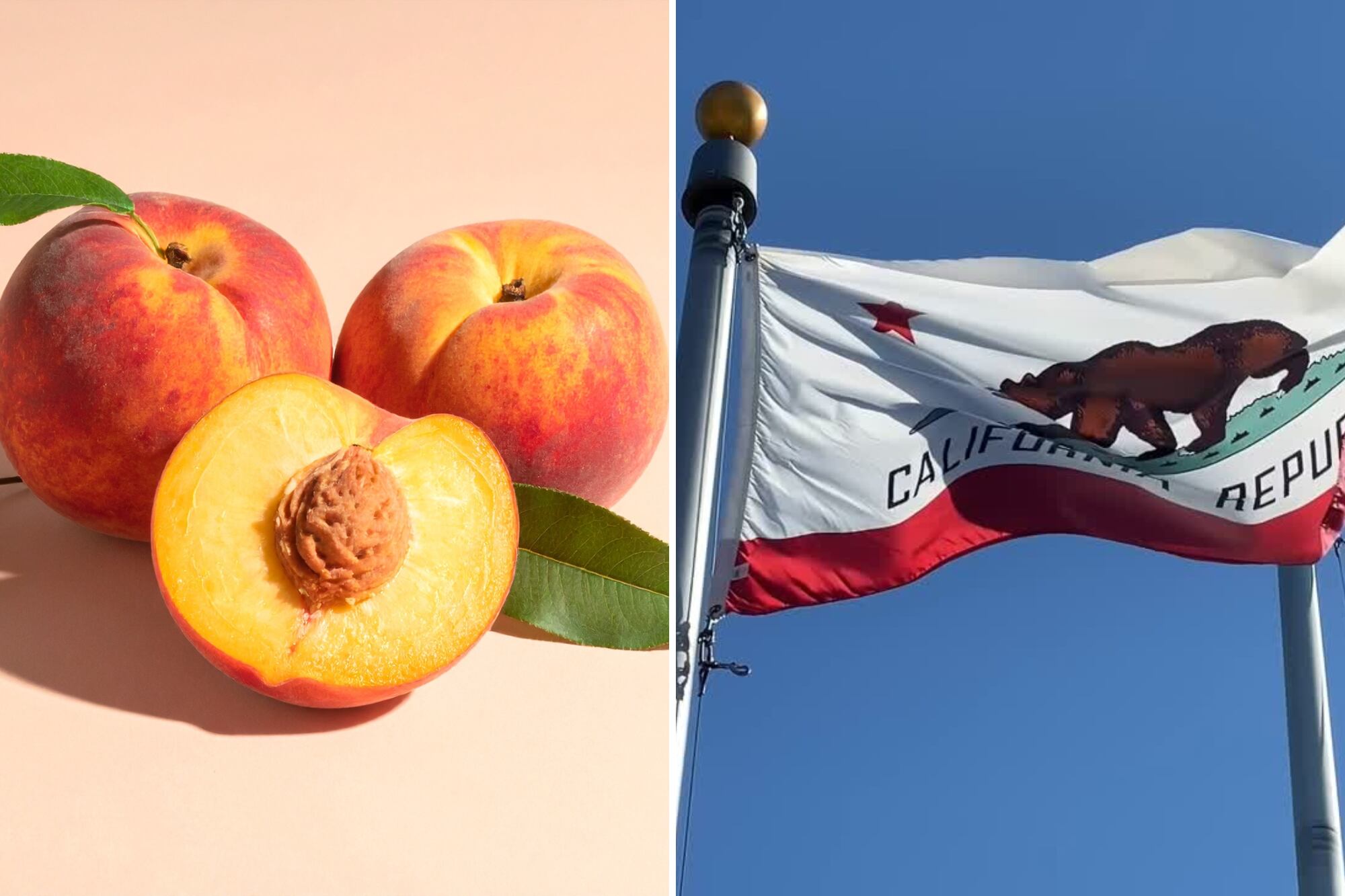 Duraznos en Crisis: El Dulce Final de una Industria Californiana