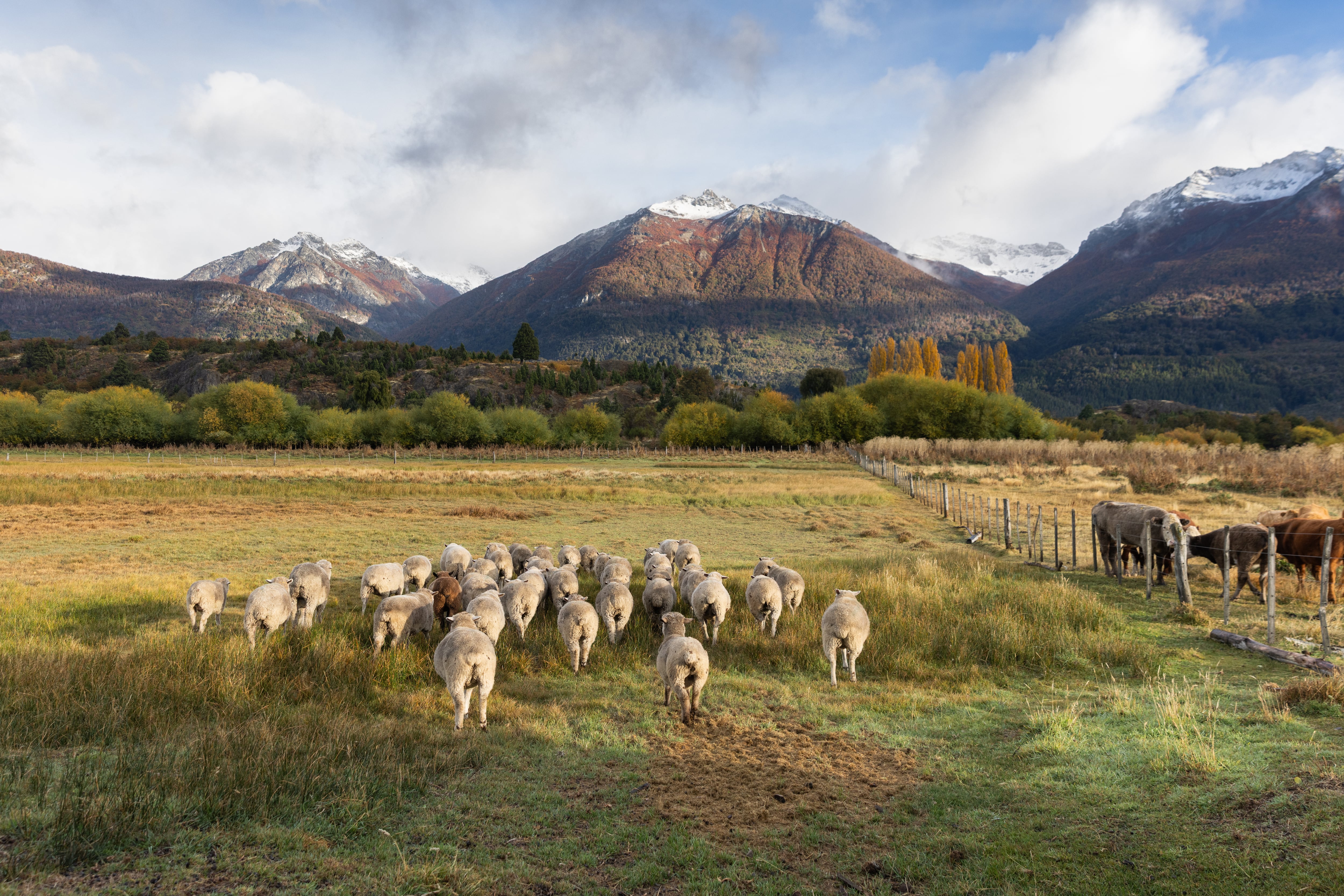 Vista desde el lodge La Pilarica en Villa Lago Rivadavia, Cholila, Chubut