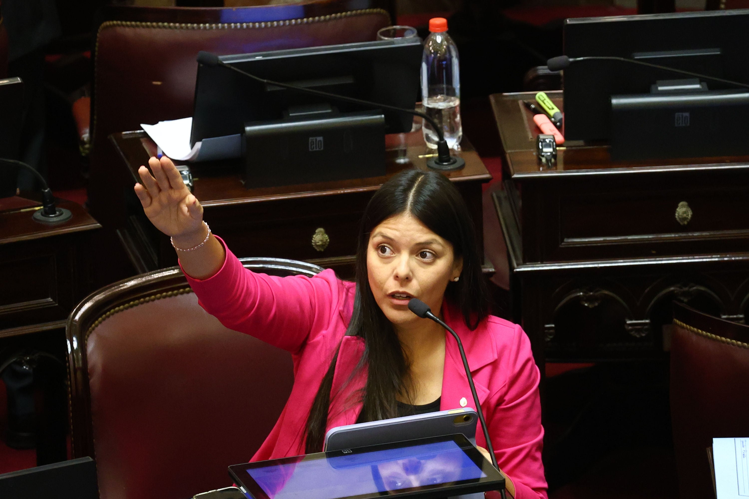 La senadora de LLA María Orozco. Tratamiento de la baja de edad de imputabilidad.