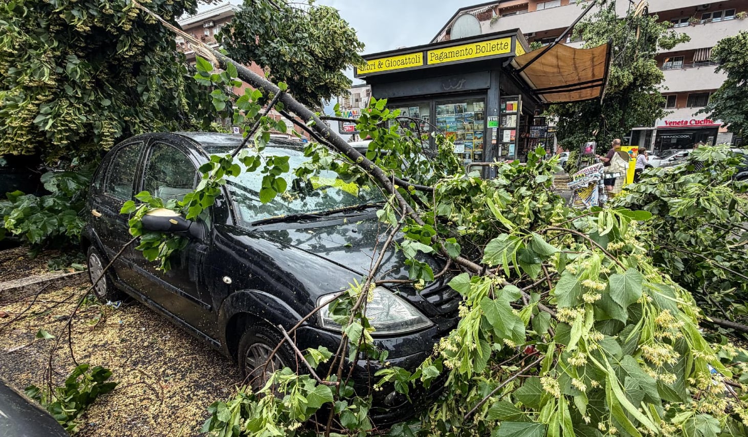 Un inusual tornado de más de 100 km/h sorprendió a Roma y causó graves destrozos