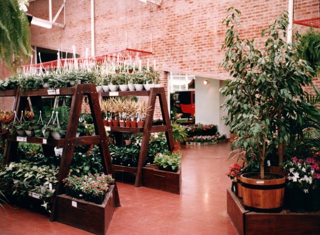 Una foto de archivo muestra cómo se veía el vivero en 1988