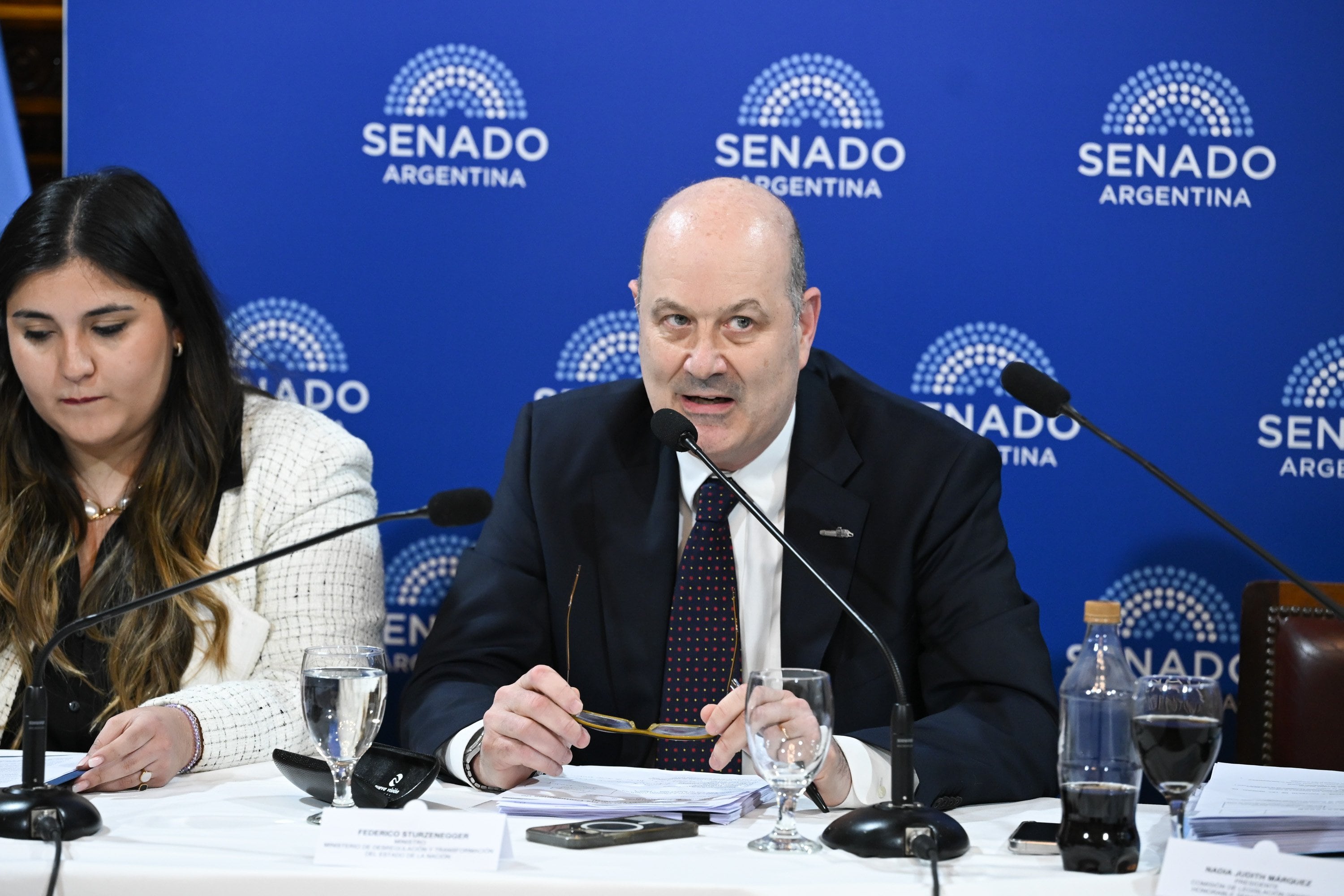 El ministro Federico Sturzenegger, la voz del Gobierno en el Senado para algunos proyectos clave