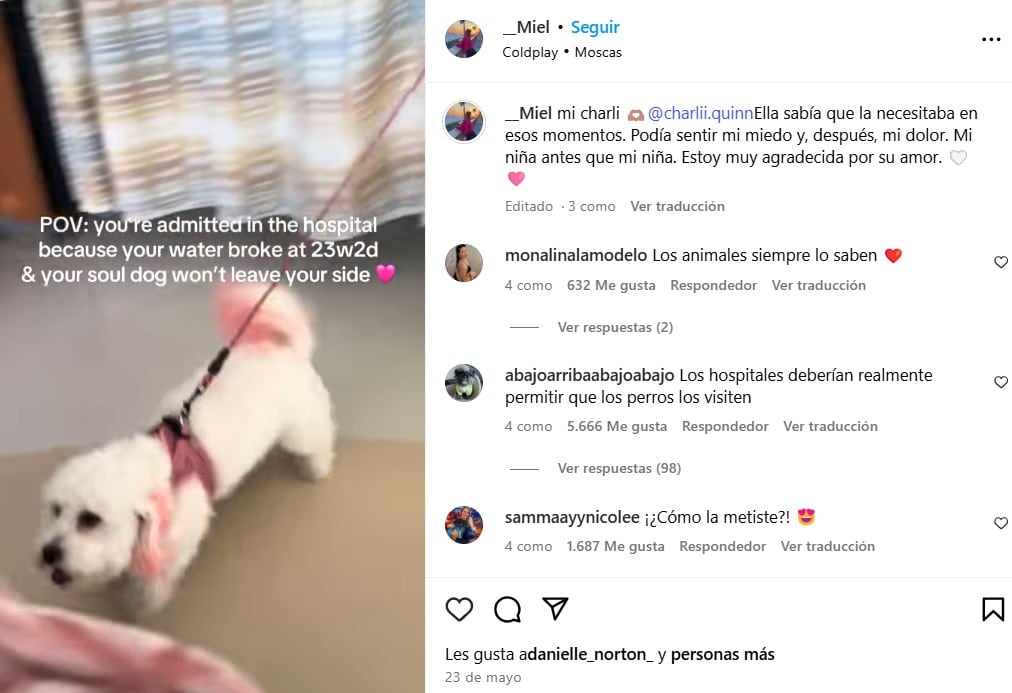 Los comentarios de los usuarios de las redes sociales
