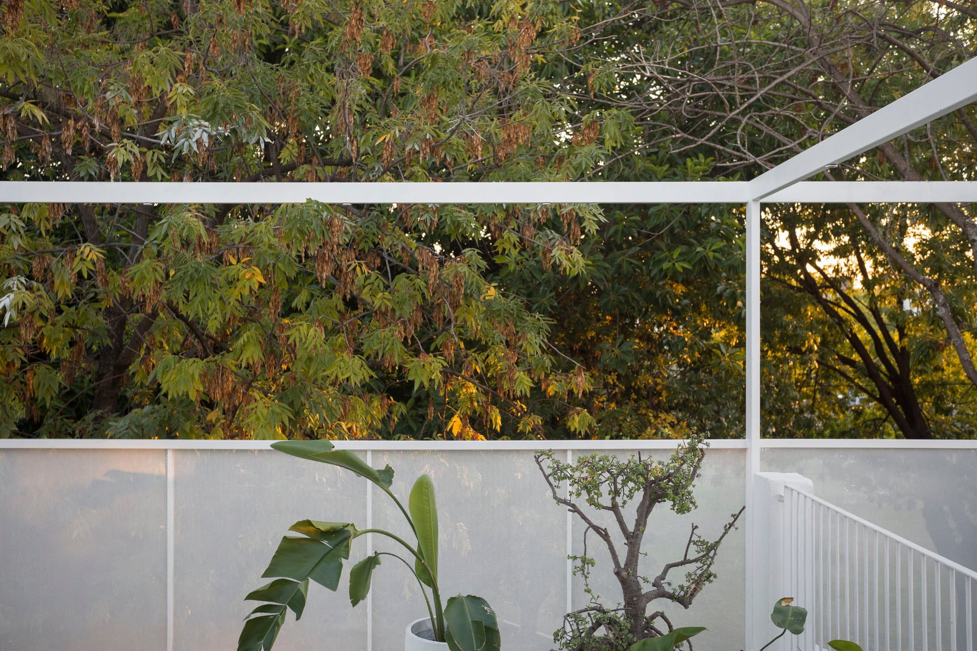 El PH cuenta con vistas a una plaza del barrio y su estructura envolvente controla la luz del sol sobre la fachada, que cuenta con orientación oeste.