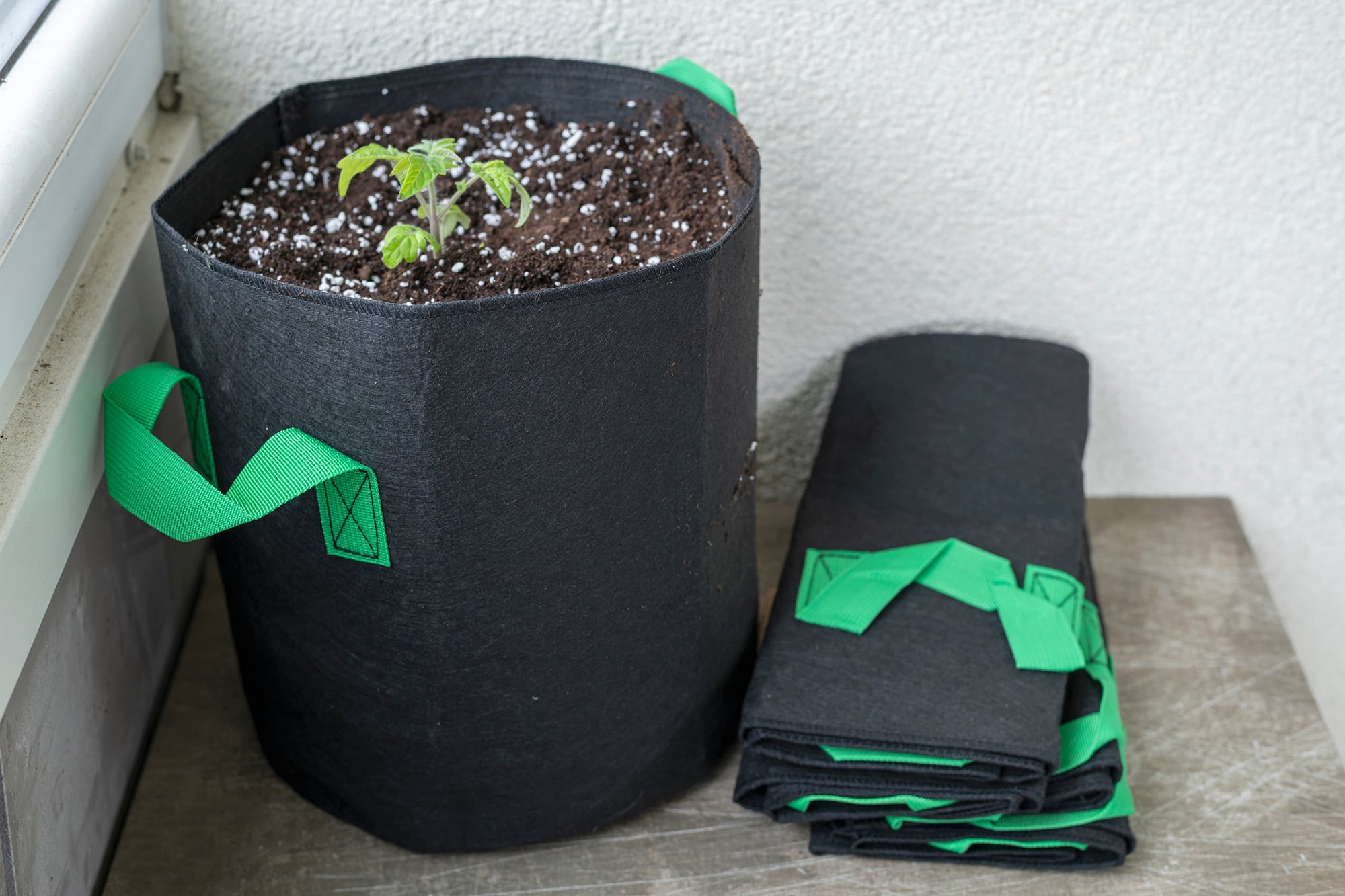 Bolsas de cultivo con un material poroso que asegura la aireación y el oxígeno necesario para el desarrollo de las plantas