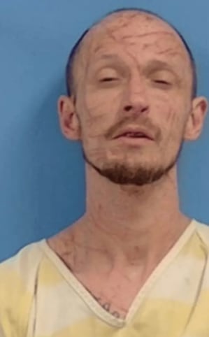 La pareja llamó al 911 ante la sospecha (Foto: White County Arkansas Sheriff Dept)