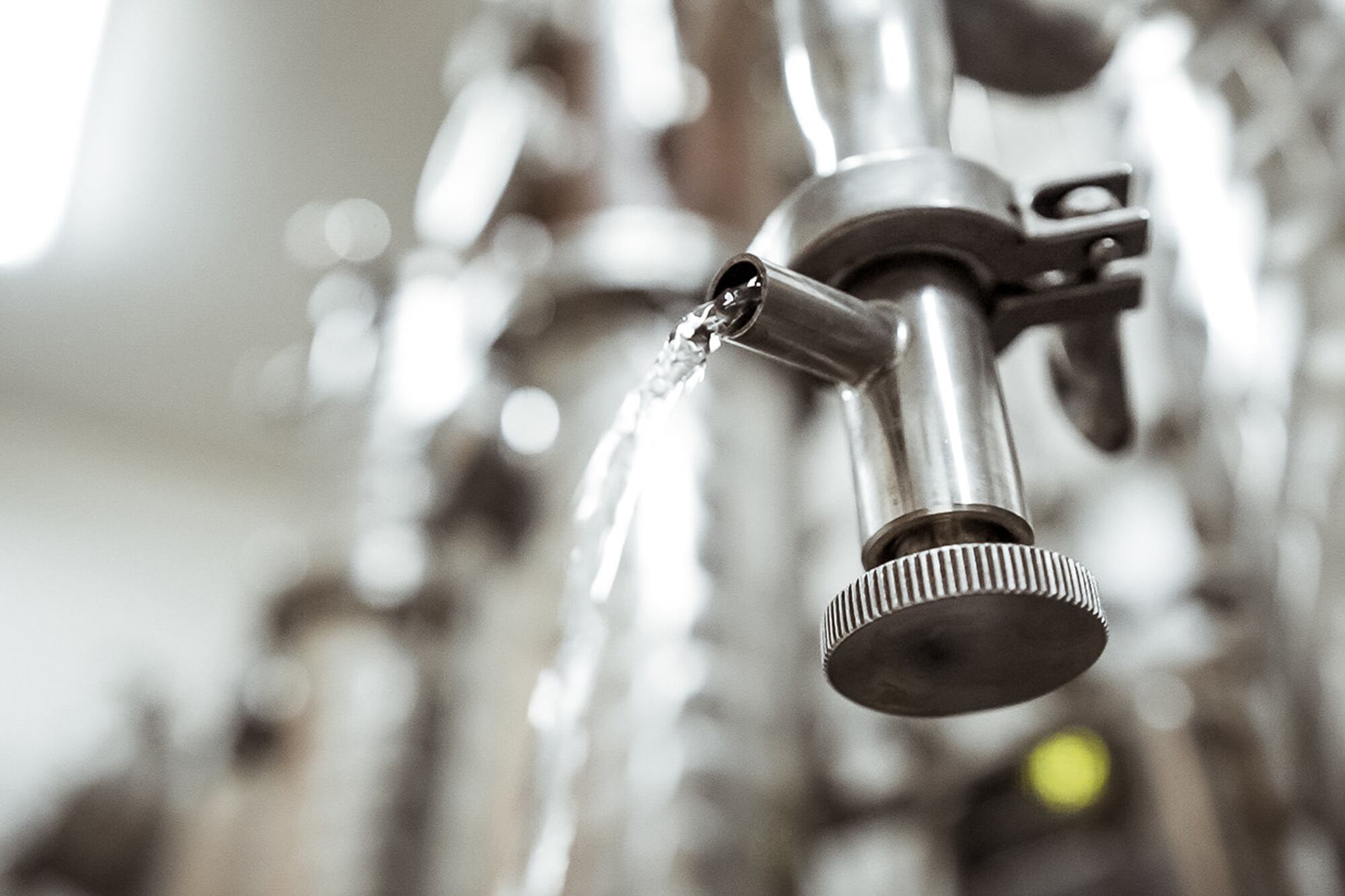 El gin ofrece cada vez más variedades, incluyendo versiones locales