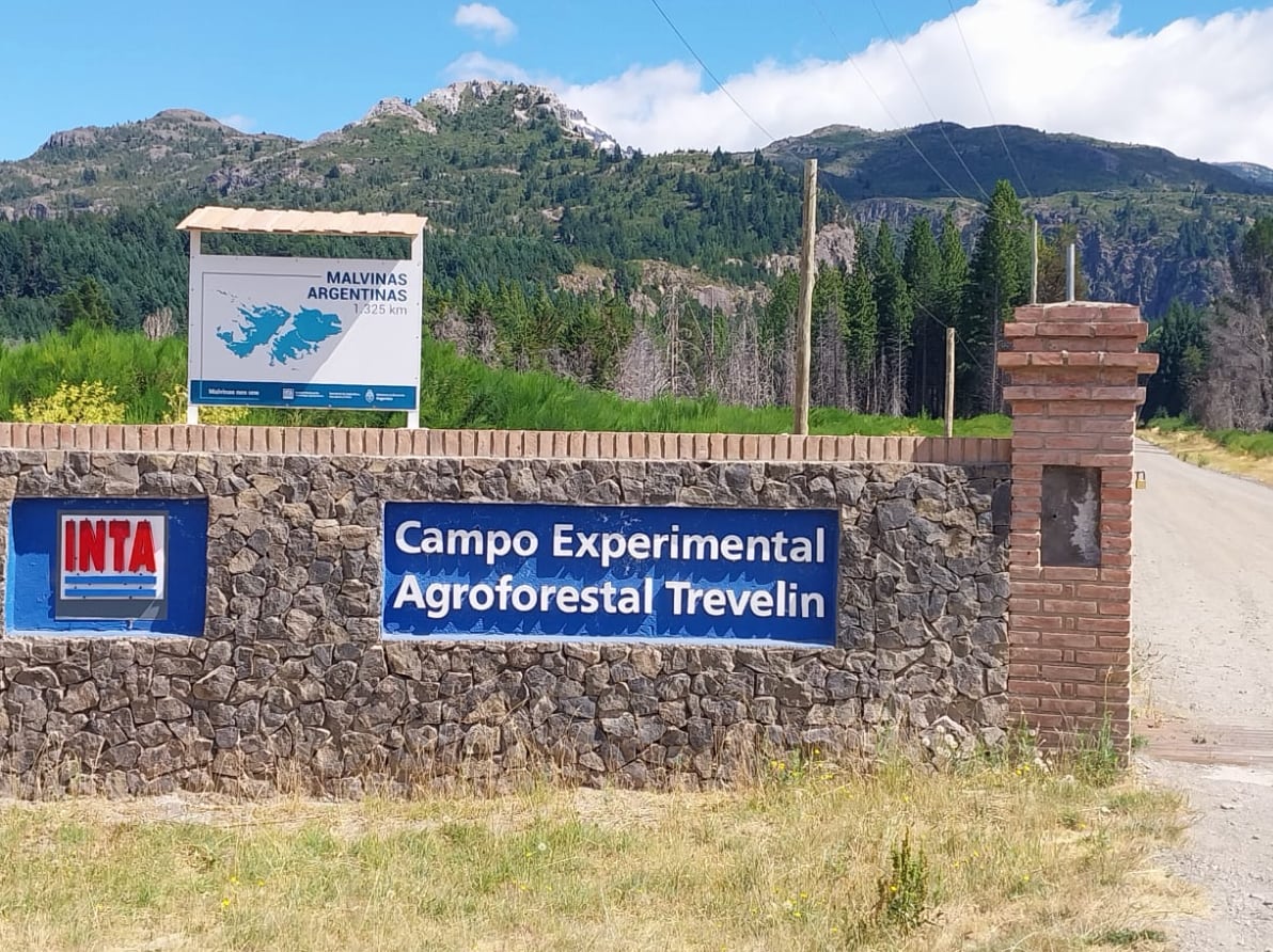 El Gobierno apunta a alcanzar 1200 desvinculaciones antes del 15 de junio