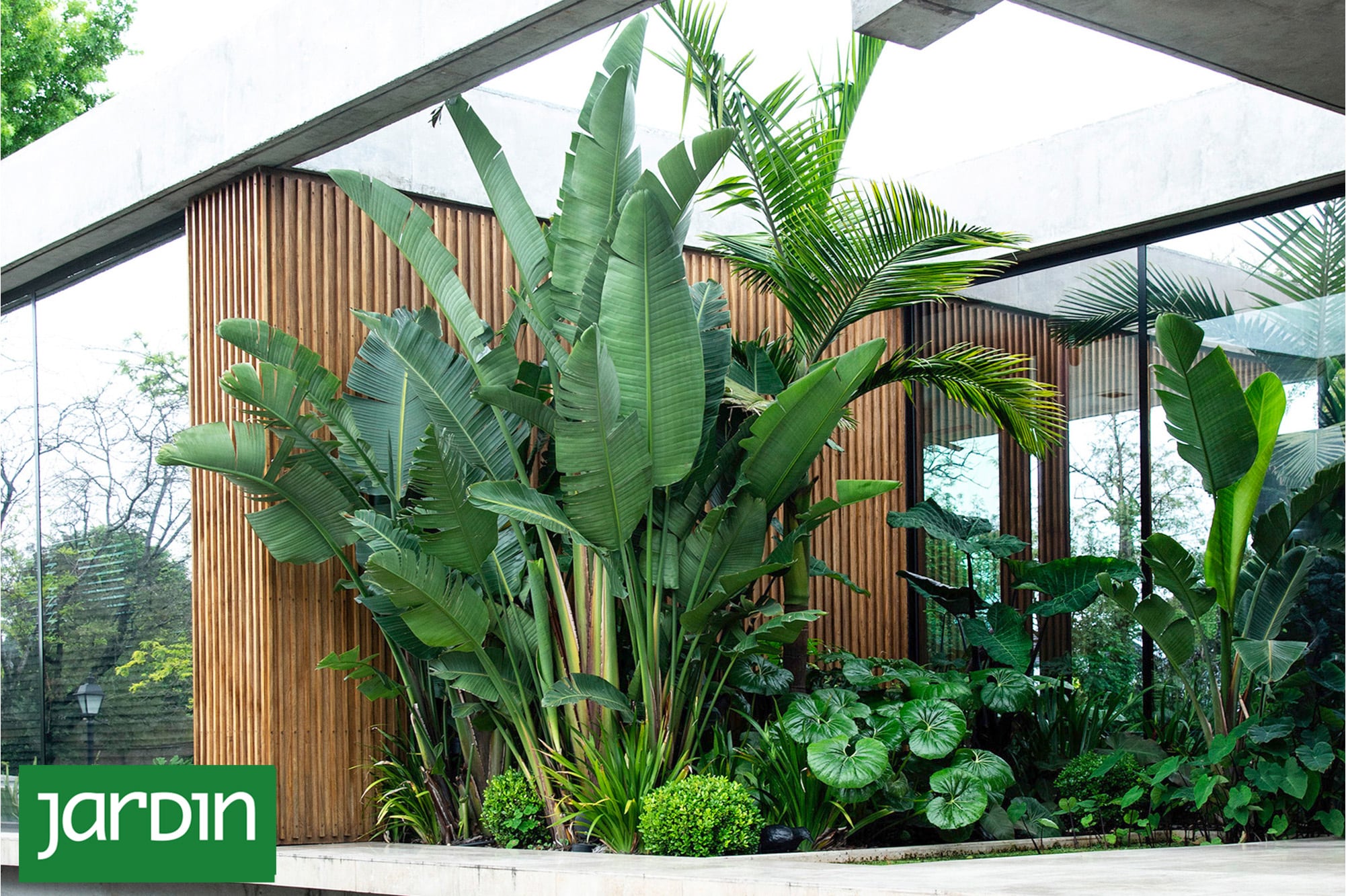 Las plantas que pueden mejorar la primera impresión sin hacer obras