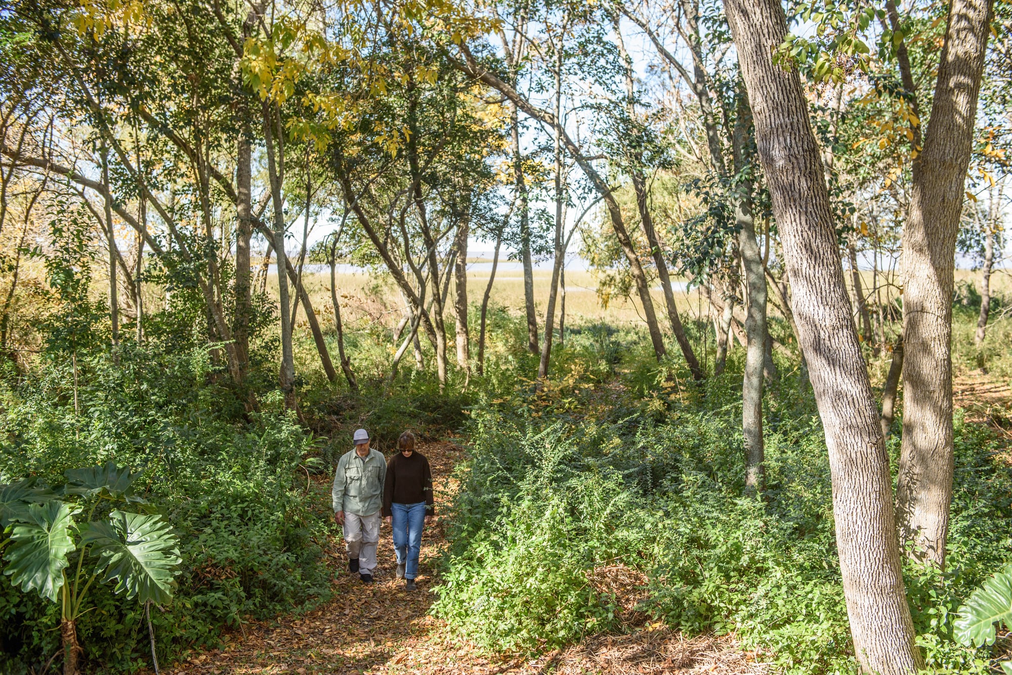 El recorrido se realiza a través de senderos, donde se van descubriendo especies de plantas, hongos y aves