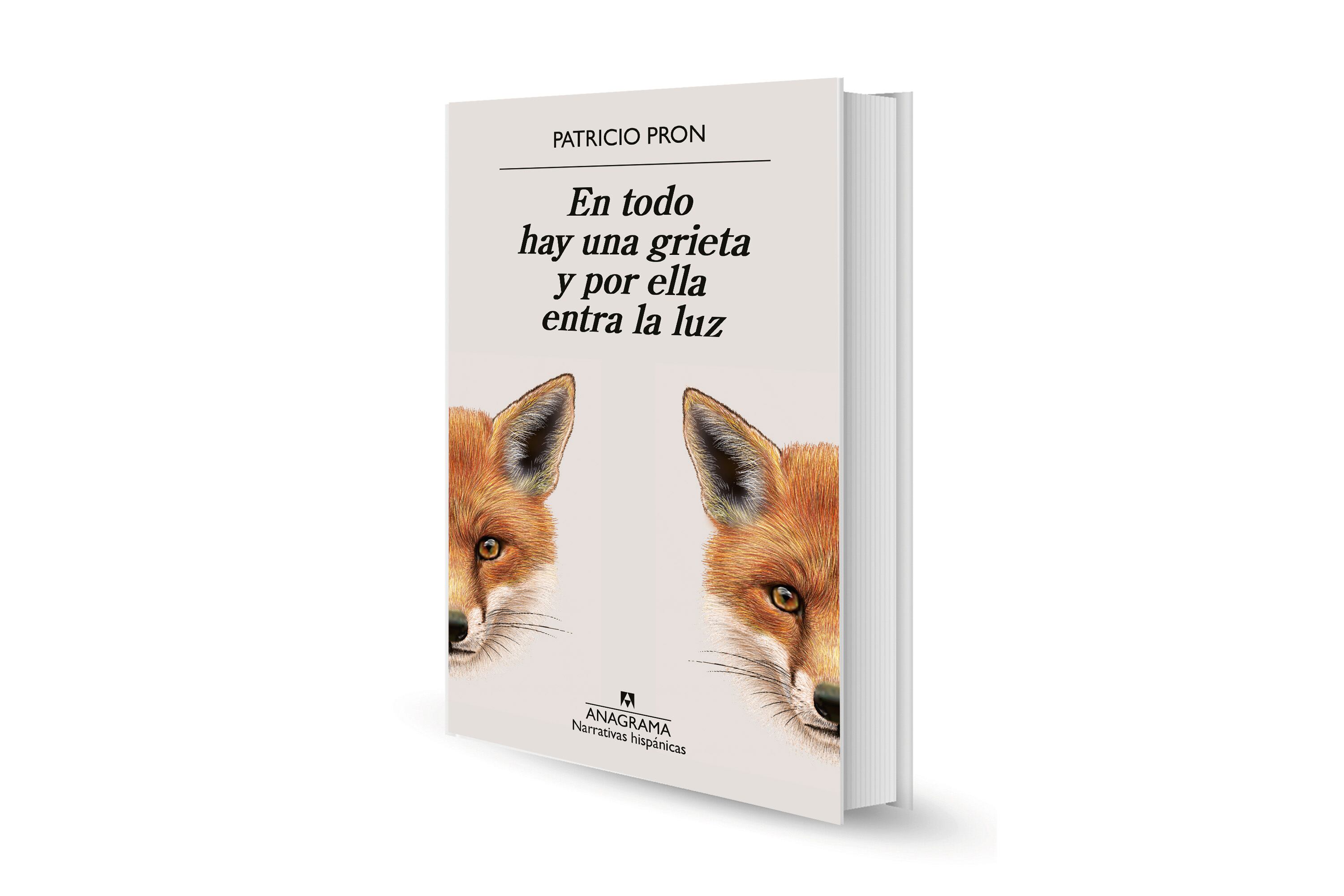 Reseña: En todo hay una grieta y por ella entra la luz, de P. Pron