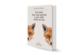 Reseña: En todo hay una grieta y por ella entra la luz, de P. Pron