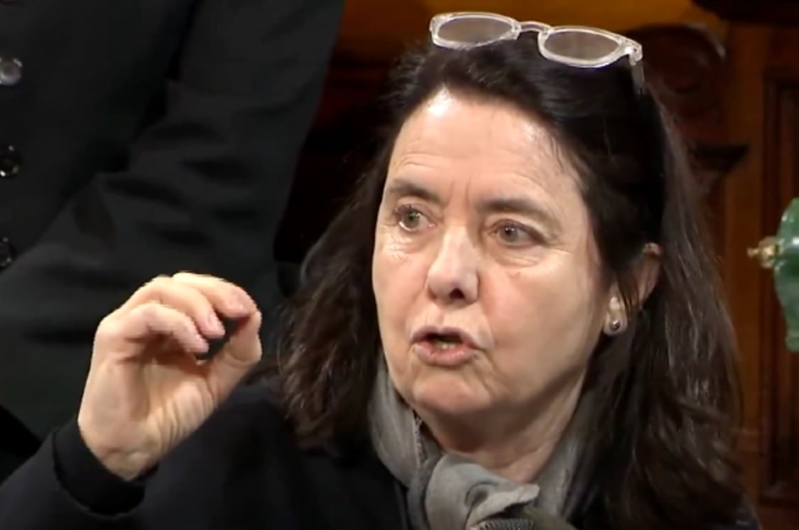 Una senadora dijo que “los niños argentinos no tienen derecho a atenderse en el Garrahan” y recibió duras críticas