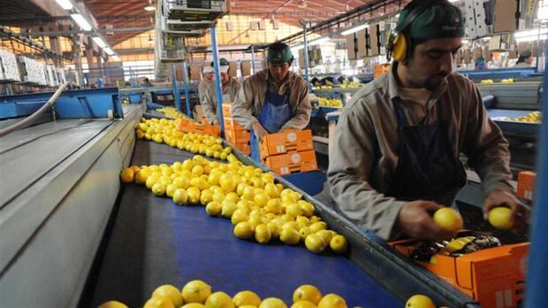 Algunos pequeños productores, no obstante, intentan adaptarse. “Hoy, hay casos de productores que empezaron a exportar por su cuenta o en asociación con otros, pero son los menos. Requiere mucho capital y una gestión profesional”, señaló Guerineau