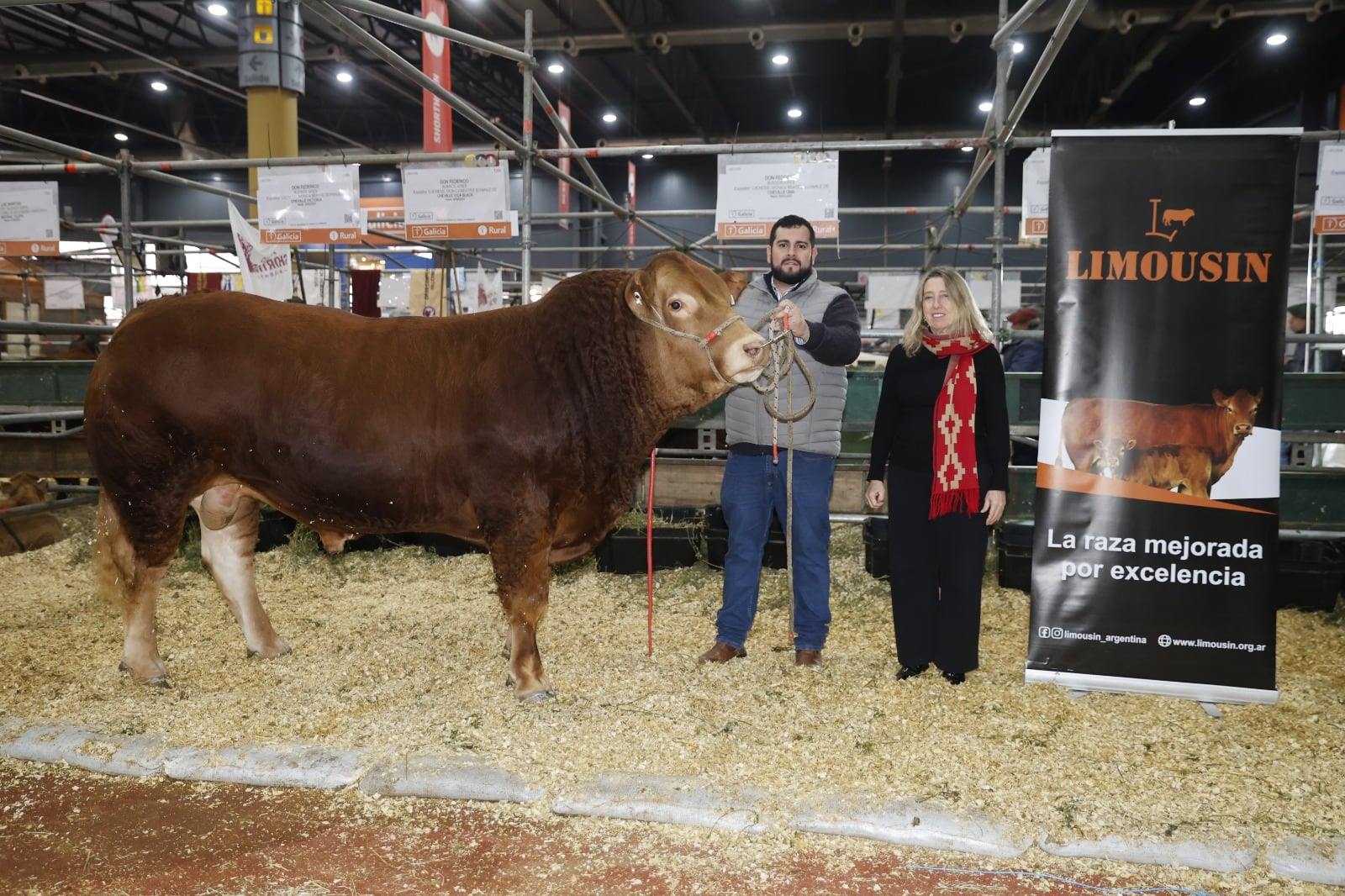 La raza, reconocida por su rendimiento al gancho y su eficiencia de conversión, participa nuevamente de la Exposición Rural de Palermo