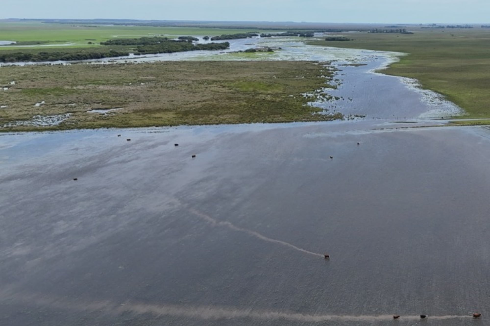 El norte y el centro de Corrientes concentraron los mayores registros de lluvia