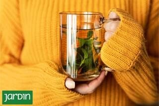 Las 10 plantas para fortalecer las defensas, mejorar la digestión y desintoxicar el organismo