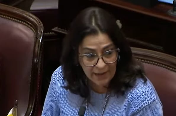 La legisladora Moisés citó una parte del preámbulo de la Constitución Nacional