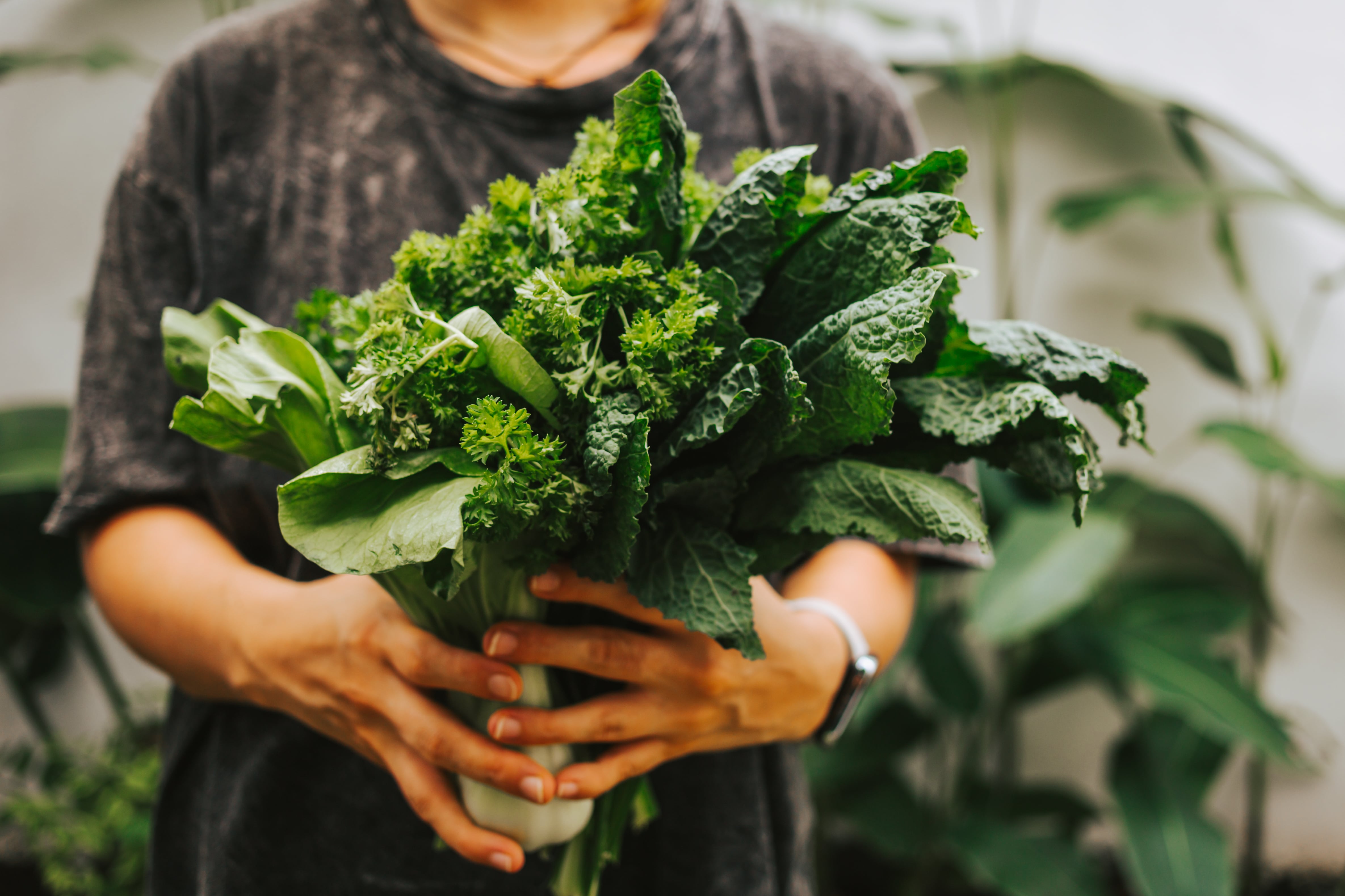 La alimentación no solo nutre: también modula la inmunidad, el metabolismo y la energía celular