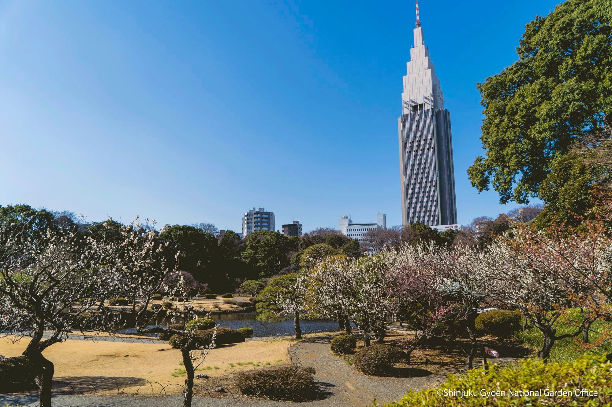 Quienes más saben recomiendan visitar el jardín durante el otoño o la primavera