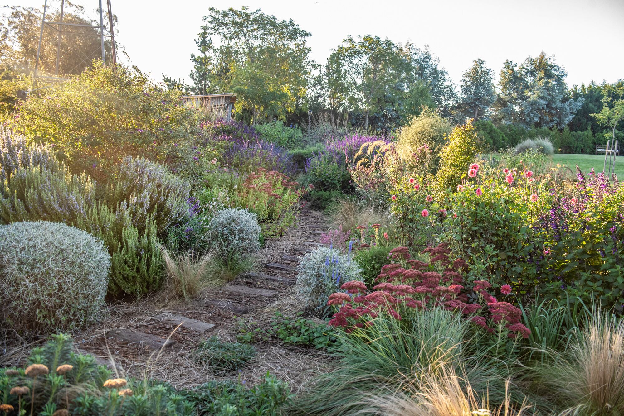 Recorrido entre romeros, salvias, sedums y gramíneas