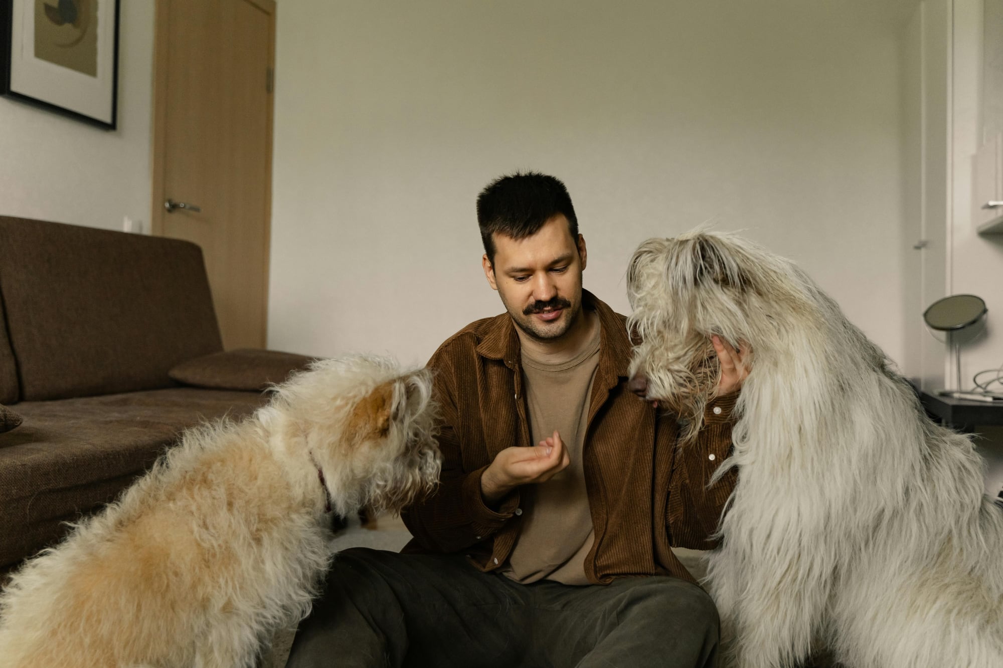 Según la psicología, los que le hablan a las mascotas como si fueran personas tienen una marcada sensibilidad hacia su entorno