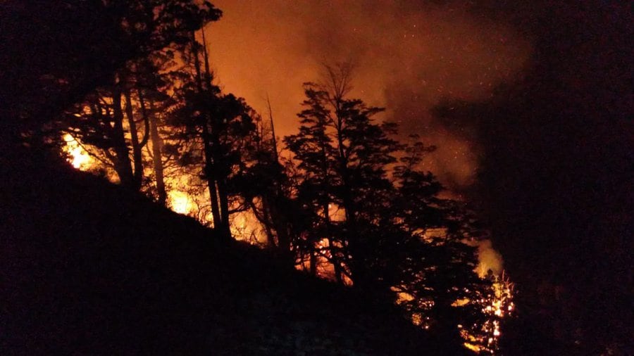 Otra impactante imagen de un incendio forestal en el Parque Nacional Los Alerces a comienzos de 2025