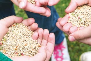 Propuestas creativas de jardinería para hacer con los chicos en vacaciones