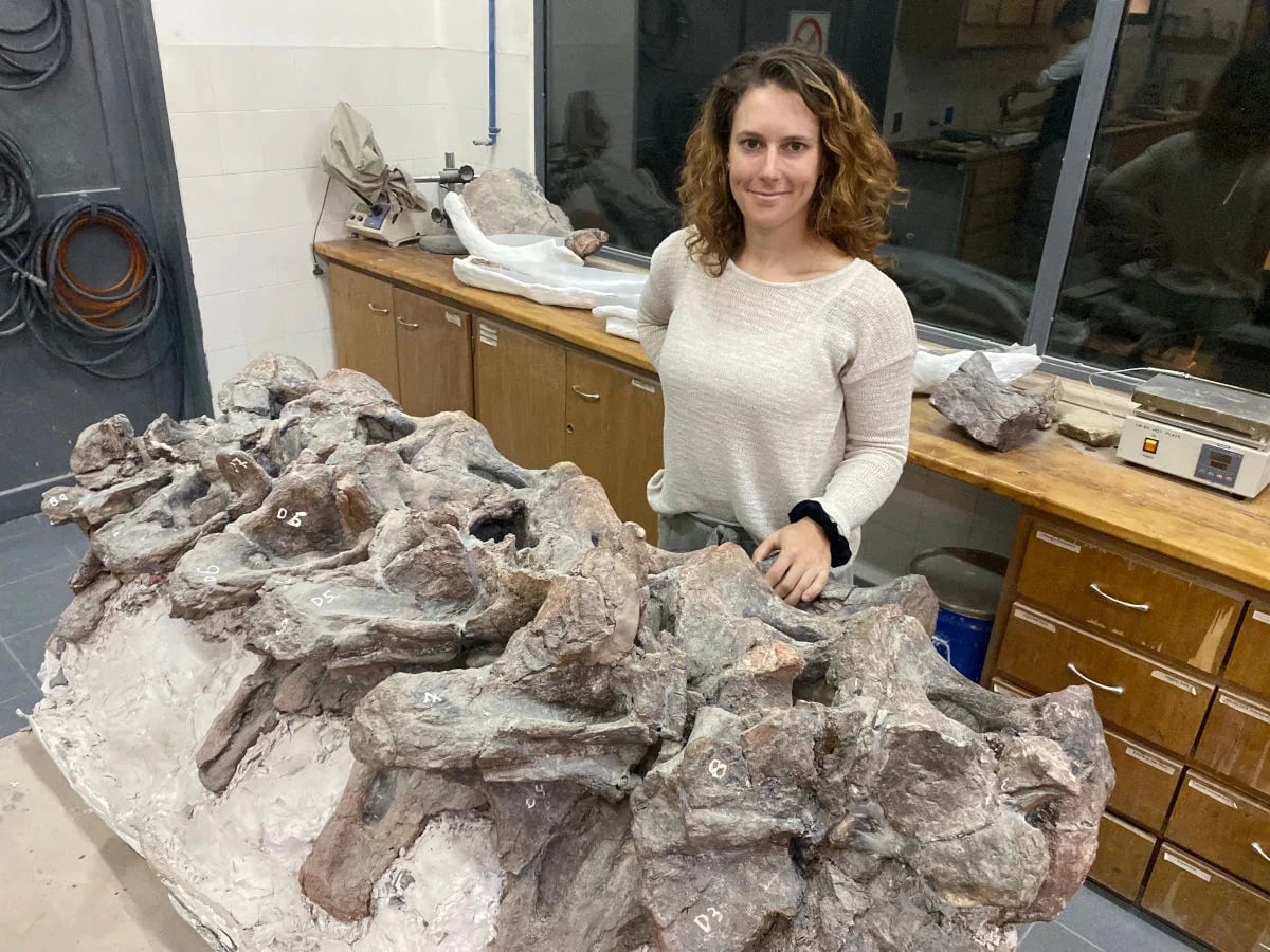Alexandra Reutter junto a fósiles de Bicharracosaurus dionidei en el laboratorio de preparación del MEF