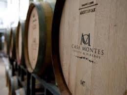 La crisis del vino: otra bodega con problemas financieros