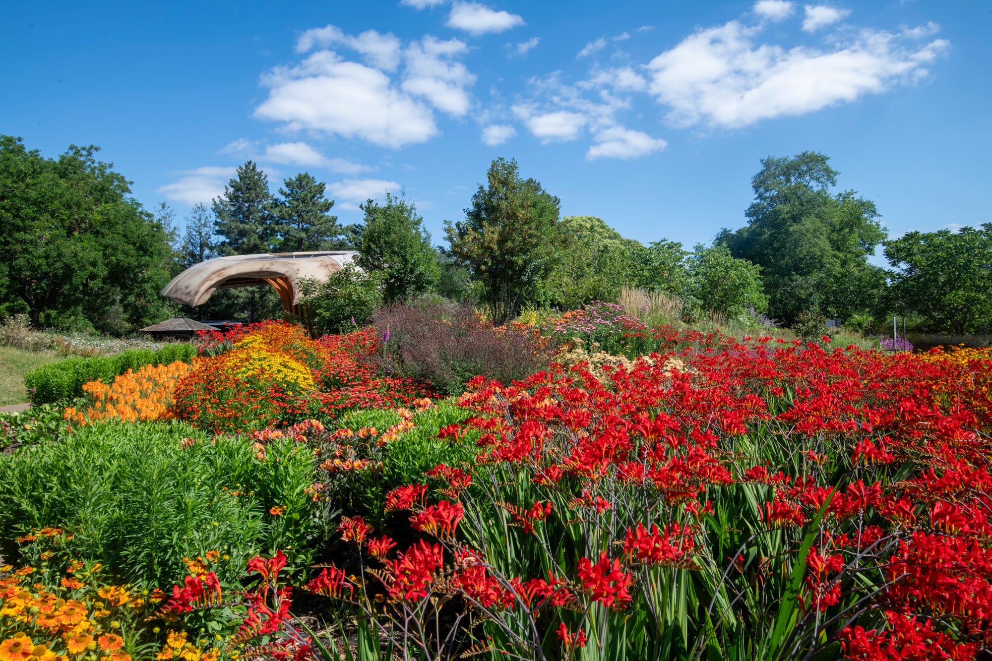 El Kew-Carbon Garden en verano, un jardín creado para explicar el ciclo del carbono y el papel de las plantas y hongos frente al cambio climático